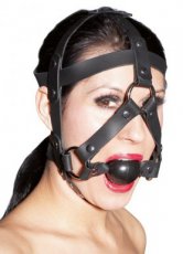 Leather Head Harness