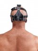 Mister B Leather Face Muzzle Harness 642120MB Mister B Leather Face Muzzle Harness